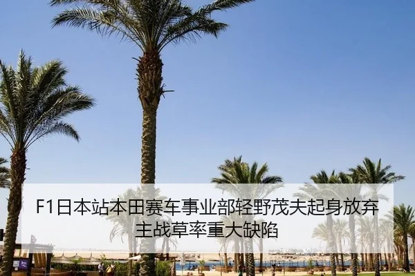 ri-ben-zhan-ben-tian-sai-che-shi-ye-bu-qing-ye-mao-fu-qi-shen-fang-qi-zhu-zhan-cao-shuai-zhong-da-que-xian-2-650.jpg
